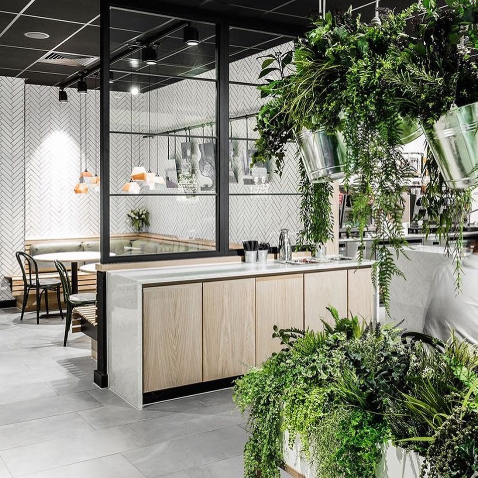 Why Office Designers Love Greenery | Modern Concepts Brisbane