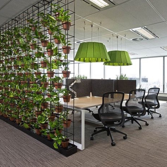Why Office Designers Love Greenery | Modern Concepts Brisbane